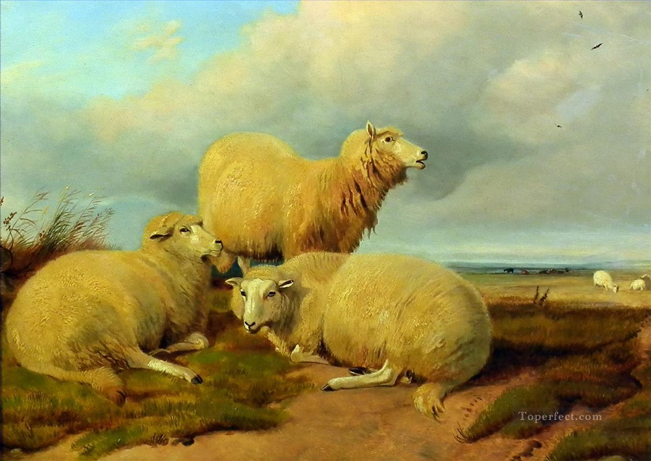 moutons sur Prairie Peintures à l'huile